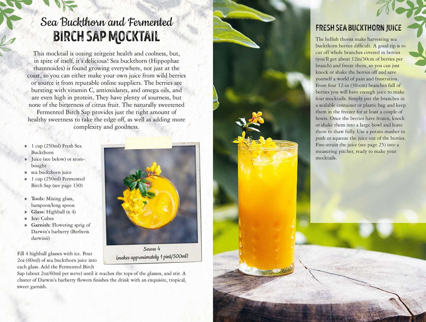 WILD MOCKTAILS RECIPE BOOK