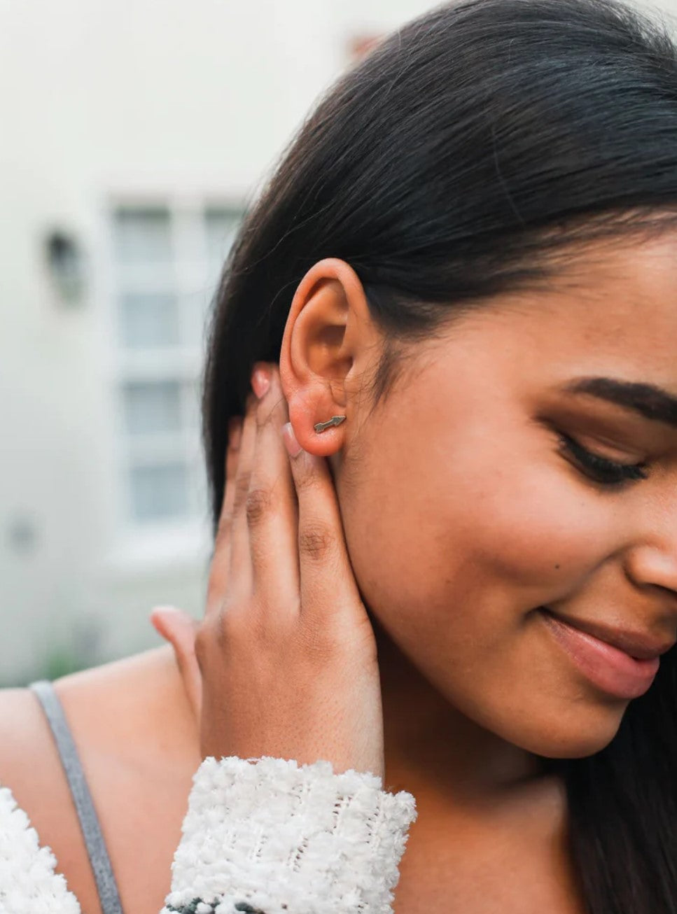 POSITIVE DIRECTIONS EARRINGS
